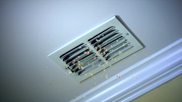 Best HVAC System Cleaning  in Pinellas Park, FL