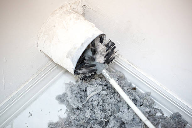 Best Affordable Duct Cleaning Services  in Pinellas Park, FL